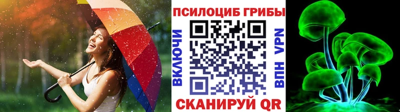 Галлюциногенные грибы прущие грибы  Купить где  Абинск 